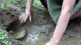 河边吃瓜美女,夏日闲情话家常